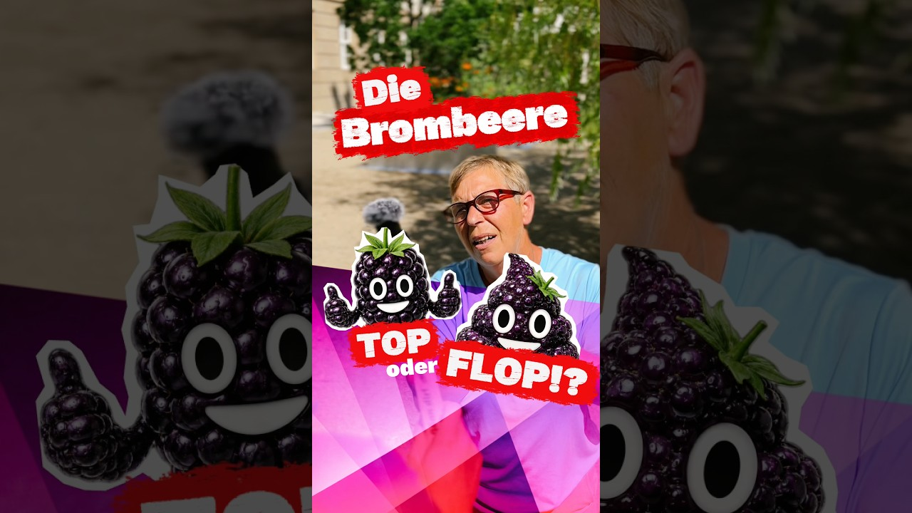 Die Brombeere – Top oder Flop? 💩