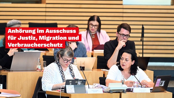 Anhörung AfD-Verbot
